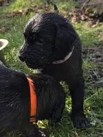 processed/ce6e88f2-dbfa-487d-a152-bedc41be2322/listing/20716358-befb-4708-a793-615559bfd1c3/3a6cbdb6-601c-4384-9a61-697158abae02