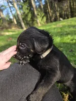 processed/ce6e88f2-dbfa-487d-a152-bedc41be2322/listing/20716358-befb-4708-a793-615559bfd1c3/6a779dc4-b452-47cd-a392-e750e674d9ba