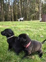 processed/ce6e88f2-dbfa-487d-a152-bedc41be2322/listing/20716358-befb-4708-a793-615559bfd1c3/dd96ca55-d901-41db-b683-d2ce106e1f57