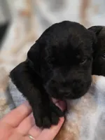 processed/ce6e88f2-dbfa-487d-a152-bedc41be2322/listing/450d8f20-4417-406c-b08f-6bf82c709190/08f3cd7e-5098-4fe8-a5cd-db099c32e95b