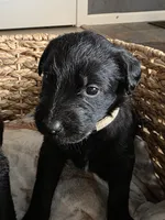 processed/ce6e88f2-dbfa-487d-a152-bedc41be2322/listing/450d8f20-4417-406c-b08f-6bf82c709190/713a991a-00d5-4e0d-986a-6bd7d0561a00