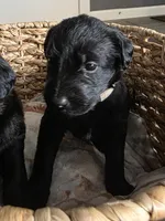 processed/ce6e88f2-dbfa-487d-a152-bedc41be2322/listing/450d8f20-4417-406c-b08f-6bf82c709190/8205e781-b151-4d14-8e55-64ebd49f218e