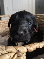 processed/ce6e88f2-dbfa-487d-a152-bedc41be2322/listing/450d8f20-4417-406c-b08f-6bf82c709190/84ce7516-4fb9-4844-8941-2ff336369c75