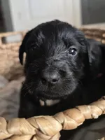 processed/ce6e88f2-dbfa-487d-a152-bedc41be2322/listing/450d8f20-4417-406c-b08f-6bf82c709190/e626aa02-918b-44f9-a4e3-e6f91acd7018