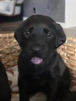 processed/ce6e88f2-dbfa-487d-a152-bedc41be2322/listing/68d676bc-e06a-4890-874a-69a5516645a2/2eb8a0d1-5cf4-438d-9584-42a846f80674