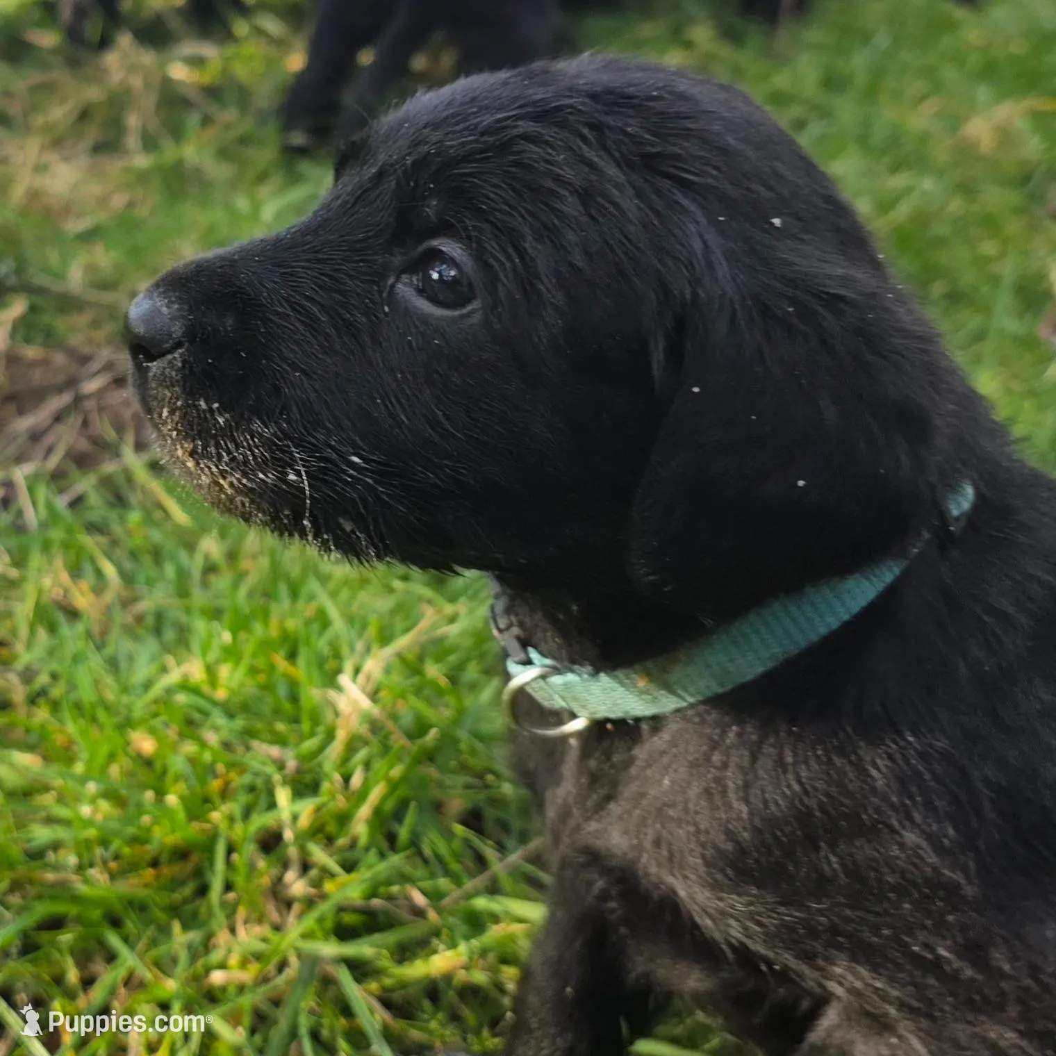 processed/ce6e88f2-dbfa-487d-a152-bedc41be2322/listing/68d676bc-e06a-4890-874a-69a5516645a2/93432139-109a-4e91-8f11-79a1afadcc8c