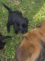 processed/ce6e88f2-dbfa-487d-a152-bedc41be2322/listing/6b594389-112d-49a5-a433-bf4cba9b428d/2e9e4d0d-f84c-42a5-92ca-226419c39d98