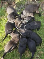 processed/ce6e88f2-dbfa-487d-a152-bedc41be2322/listing/6b594389-112d-49a5-a433-bf4cba9b428d/55a09c17-1903-4373-9349-99923baee5f8