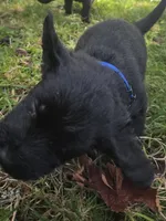 processed/ce6e88f2-dbfa-487d-a152-bedc41be2322/listing/6b594389-112d-49a5-a433-bf4cba9b428d/6be19230-a532-46a6-bc4c-2f3cb58a00de