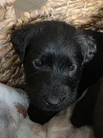 processed/ce6e88f2-dbfa-487d-a152-bedc41be2322/listing/6b594389-112d-49a5-a433-bf4cba9b428d/fde7904c-da5b-47cb-86df-9d21671f7cc1