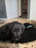 processed/ce6e88f2-dbfa-487d-a152-bedc41be2322/listing/9372005e-4a89-4360-9755-844d24723d06/863fecf7-25e7-48c8-8bff-fb57513acc9f