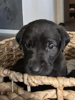 processed/ce6e88f2-dbfa-487d-a152-bedc41be2322/listing/9372005e-4a89-4360-9755-844d24723d06/c1ed616c-86b4-49aa-a417-82bbce20b8a6