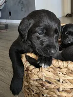 processed/ce6e88f2-dbfa-487d-a152-bedc41be2322/listing/9372005e-4a89-4360-9755-844d24723d06/ed4f3aed-e64c-47a2-b74b-97dbd56f9ab5