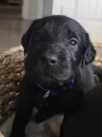 processed/ce6e88f2-dbfa-487d-a152-bedc41be2322/listing/993dc5fe-08fb-42e3-9ad9-cde600ccfba8/09df994e-114b-43d0-86d2-e6cdb045c030