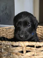 processed/ce6e88f2-dbfa-487d-a152-bedc41be2322/listing/993dc5fe-08fb-42e3-9ad9-cde600ccfba8/3a2c7f43-1fa4-4625-9556-e59a51b49281