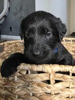 processed/ce6e88f2-dbfa-487d-a152-bedc41be2322/listing/993dc5fe-08fb-42e3-9ad9-cde600ccfba8/53205328-4364-4fd4-bafb-cd327efc2a53