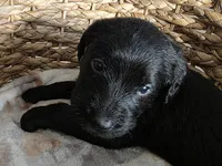 processed/ce6e88f2-dbfa-487d-a152-bedc41be2322/listing/993dc5fe-08fb-42e3-9ad9-cde600ccfba8/65bf7428-e132-42f9-ba3d-77488b5398af