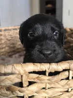 processed/ce6e88f2-dbfa-487d-a152-bedc41be2322/listing/993dc5fe-08fb-42e3-9ad9-cde600ccfba8/fdeb9d7e-c1c2-43d8-b51d-1e38e95bfe3a