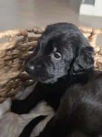 processed/ce6e88f2-dbfa-487d-a152-bedc41be2322/listing/de2e99b1-8faf-4731-b65d-5908cd082268/1d0ba31e-d7cb-4ff3-9e3d-229ab5c531ec