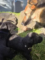 processed/ce6e88f2-dbfa-487d-a152-bedc41be2322/listing/de2e99b1-8faf-4731-b65d-5908cd082268/2e19b150-0a5c-41e4-8824-c347b2a2fcd7