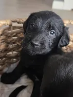 processed/ce6e88f2-dbfa-487d-a152-bedc41be2322/listing/de2e99b1-8faf-4731-b65d-5908cd082268/9e4f9ff1-e4d2-42ae-b8e1-928b6973694d