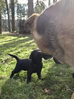 processed/ce6e88f2-dbfa-487d-a152-bedc41be2322/listing/de2e99b1-8faf-4731-b65d-5908cd082268/a7254746-f717-494e-8654-503b21cf31d8