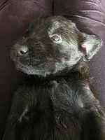 processed/ce6e88f2-dbfa-487d-a152-bedc41be2322/listing/de2e99b1-8faf-4731-b65d-5908cd082268/ec18c7d8-a728-4bb5-93f9-cd1dea56446f