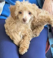 processed/ce705a05-db41-4529-967d-6113761a3696/listing/1b9aabdc-e71d-4b94-a9f6-2190eff9e2ad/c5b9af0f-1610-4f17-b6c4-c48d1f1a056f