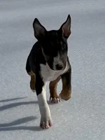 processed/ce7457f0-87f1-4311-9350-d35a256d1369/listing/5f7eca57-4756-4411-ac7b-5e6d0ee89dfe/3119088f-eb66-4532-931a-2071081a1610