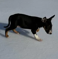 processed/ce7457f0-87f1-4311-9350-d35a256d1369/listing/5f7eca57-4756-4411-ac7b-5e6d0ee89dfe/4147c132-cfb1-472c-ac0d-627a99db1722