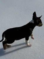 processed/ce7457f0-87f1-4311-9350-d35a256d1369/listing/5f7eca57-4756-4411-ac7b-5e6d0ee89dfe/c76e2462-e46f-4a2f-8c56-1891fee2c142