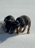 processed/ce7457f0-87f1-4311-9350-d35a256d1369/listing/5f7eca57-4756-4411-ac7b-5e6d0ee89dfe/d8a28d98-5c4c-4c98-857c-96f7ab34e638