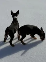 processed/ce7457f0-87f1-4311-9350-d35a256d1369/listing/5f7eca57-4756-4411-ac7b-5e6d0ee89dfe/e1a98d6d-0b5c-4b92-956c-f4af4714bd3a