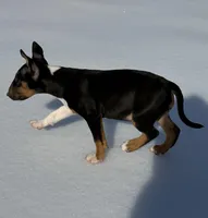 processed/ce7457f0-87f1-4311-9350-d35a256d1369/listing/5f7eca57-4756-4411-ac7b-5e6d0ee89dfe/eede0744-0ada-45e8-b346-469a137f17a2