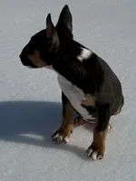 processed/ce7457f0-87f1-4311-9350-d35a256d1369/listing/deb4895a-ef85-4c98-898f-d47ed6f130fc/747c0565-ec5e-427f-83fb-d1cf98a9aa58