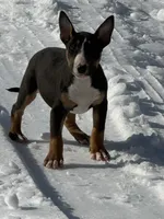 processed/ce7457f0-87f1-4311-9350-d35a256d1369/listing/deb4895a-ef85-4c98-898f-d47ed6f130fc/7bfdbd90-a01e-4f3b-8e19-4d7e974a3d96