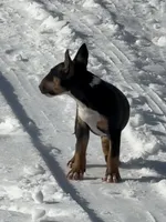 processed/ce7457f0-87f1-4311-9350-d35a256d1369/listing/deb4895a-ef85-4c98-898f-d47ed6f130fc/81c0c589-3ff0-4f31-999d-f1203dd5b52c