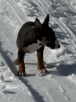 processed/ce7457f0-87f1-4311-9350-d35a256d1369/listing/deb4895a-ef85-4c98-898f-d47ed6f130fc/99d5e4a7-2e86-46b1-9a48-8560114d041b