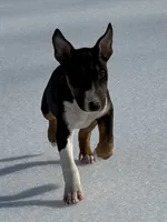 processed/ce7457f0-87f1-4311-9350-d35a256d1369/listing/deb4895a-ef85-4c98-898f-d47ed6f130fc/9f326f3a-a801-4d61-8c7c-d665c367a80c