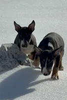 processed/ce7457f0-87f1-4311-9350-d35a256d1369/listing/deb4895a-ef85-4c98-898f-d47ed6f130fc/aeb51e58-d0b1-4a17-aebb-5ef3f703a188