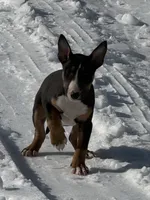 processed/ce7457f0-87f1-4311-9350-d35a256d1369/listing/deb4895a-ef85-4c98-898f-d47ed6f130fc/b45e5efa-cb12-489c-84b1-a3742d2f5e13