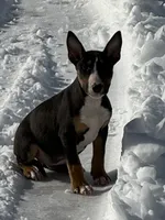 processed/ce7457f0-87f1-4311-9350-d35a256d1369/listing/deb4895a-ef85-4c98-898f-d47ed6f130fc/ff0803c8-6b9c-4aa6-ac9c-5c4128c7f025