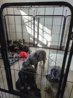 processed/ce78ceb7-7408-469c-af9e-21eccde71dc5/facility/bb1af781-5e84-406f-b308-ec28ba416add