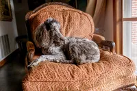 processed/ce78ceb7-7408-469c-af9e-21eccde71dc5/facility/cf1c7057-bb3c-465a-a5a2-febc06f3a3b6