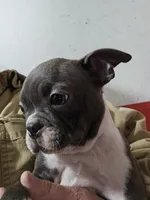 processed/ce79a003-66b0-45e4-a646-2ad2ceec49ca/listing/5b4f8c61-ab54-4187-9fc6-c32c982c9fb5/42319318-e2f2-4cb7-a2fa-1367acdd33e2