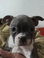 processed/ce79a003-66b0-45e4-a646-2ad2ceec49ca/listing/5b4f8c61-ab54-4187-9fc6-c32c982c9fb5/62bb23a7-07da-41b8-afa4-14e5a5386efc