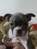 processed/ce79a003-66b0-45e4-a646-2ad2ceec49ca/listing/5b4f8c61-ab54-4187-9fc6-c32c982c9fb5/ded7cb4f-73a7-4a65-8c63-c73a6376037d