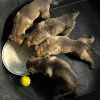 processed/ce86e385-5c06-4722-ad91-3d2059e5a6f5/facility/bee89c29-37e5-46fb-a6b0-840a7f2e0d1d