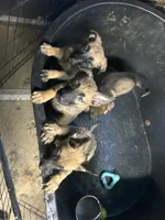 processed/ce86e385-5c06-4722-ad91-3d2059e5a6f5/facility/ec265b76-eeef-4b44-9f95-894f834aa7d6