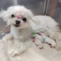 processed/ce93e615-3ec4-4344-925d-ac5904a53b86/facility/3aae7688-0562-4a55-8ccd-137abadf2c3e